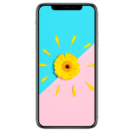 iPhone X
